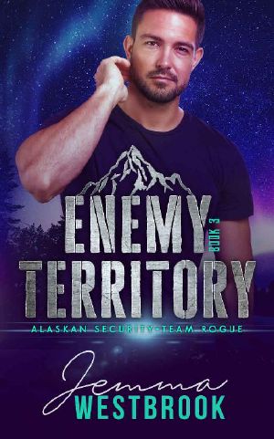 [Alaskan Security-Team Rogue 03] • Enemy Territory